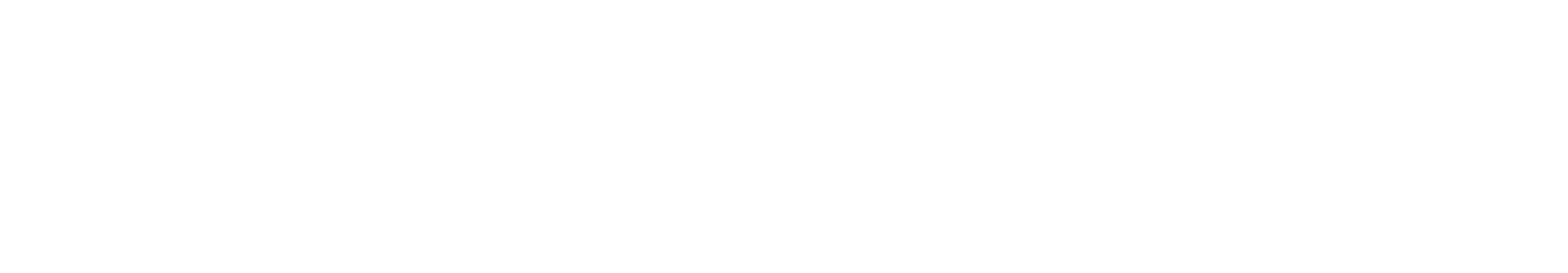 Vision Fashion Collective